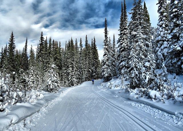 Sovereign Lake Nordic Club